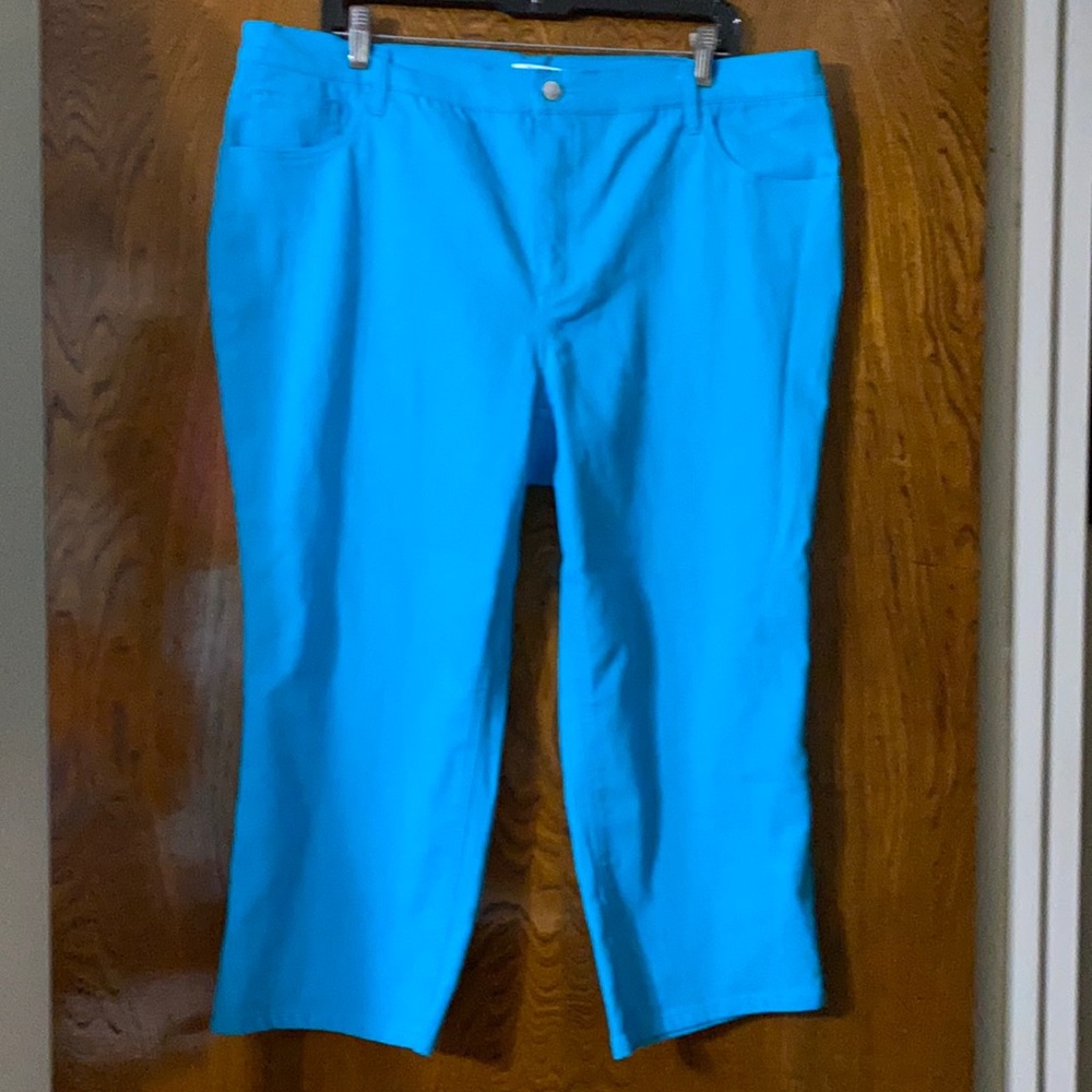 d&co / blue cropped pant / size 18W